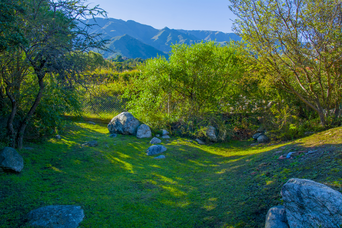Parque